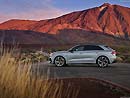 Audi RS Q8 (2019) [1680x1050]