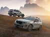 BMW X5 Silver Anniversary Edition