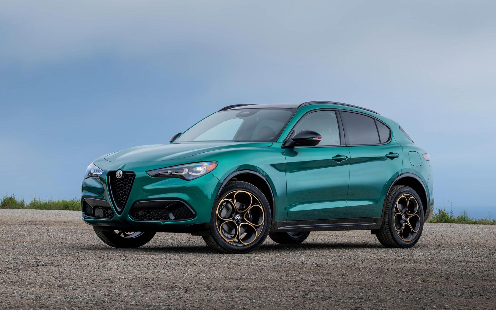���� Alfa Romeo Stelvio 