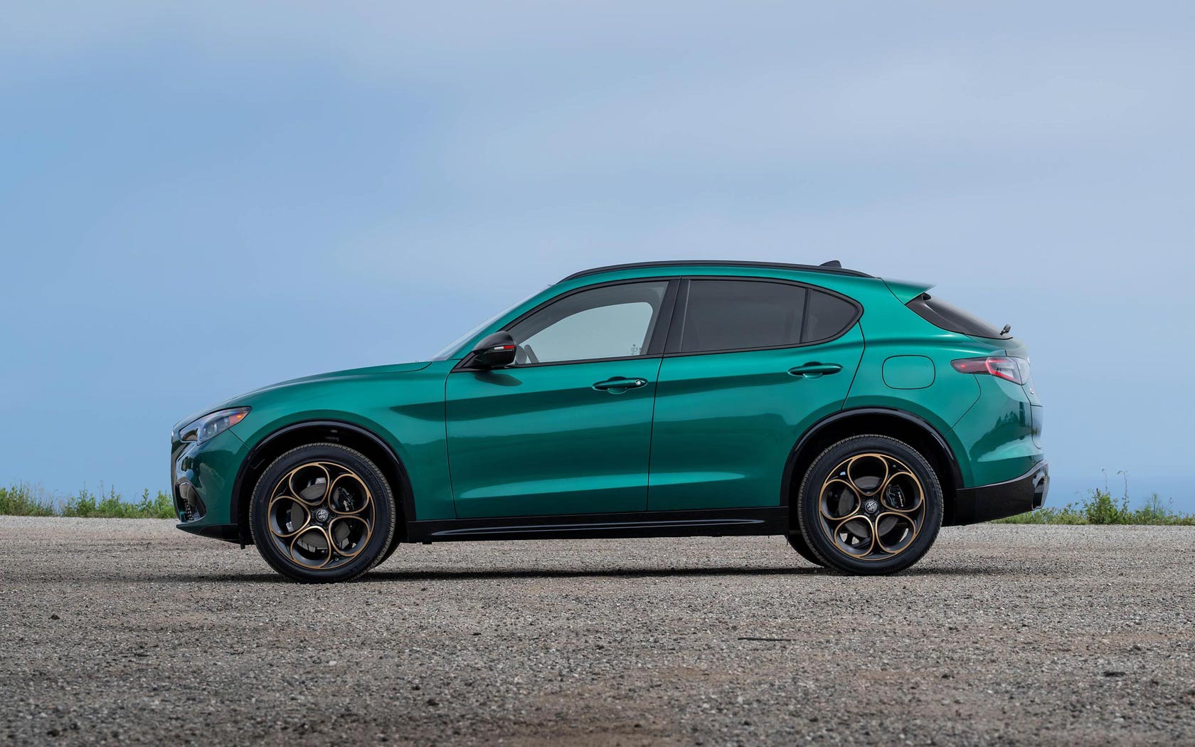 ���� Alfa Romeo Stelvio 
