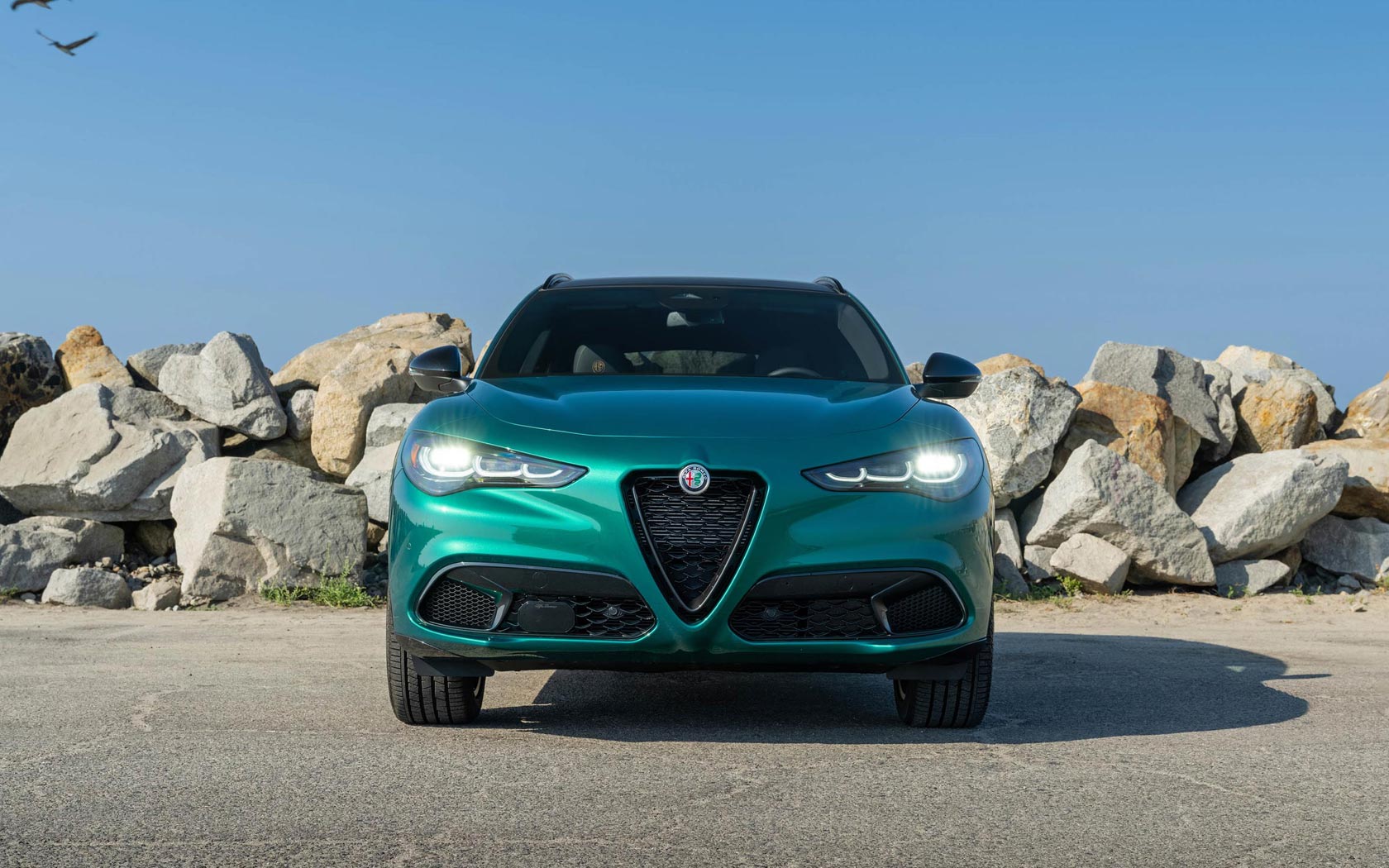 ���� Alfa Romeo Stelvio 