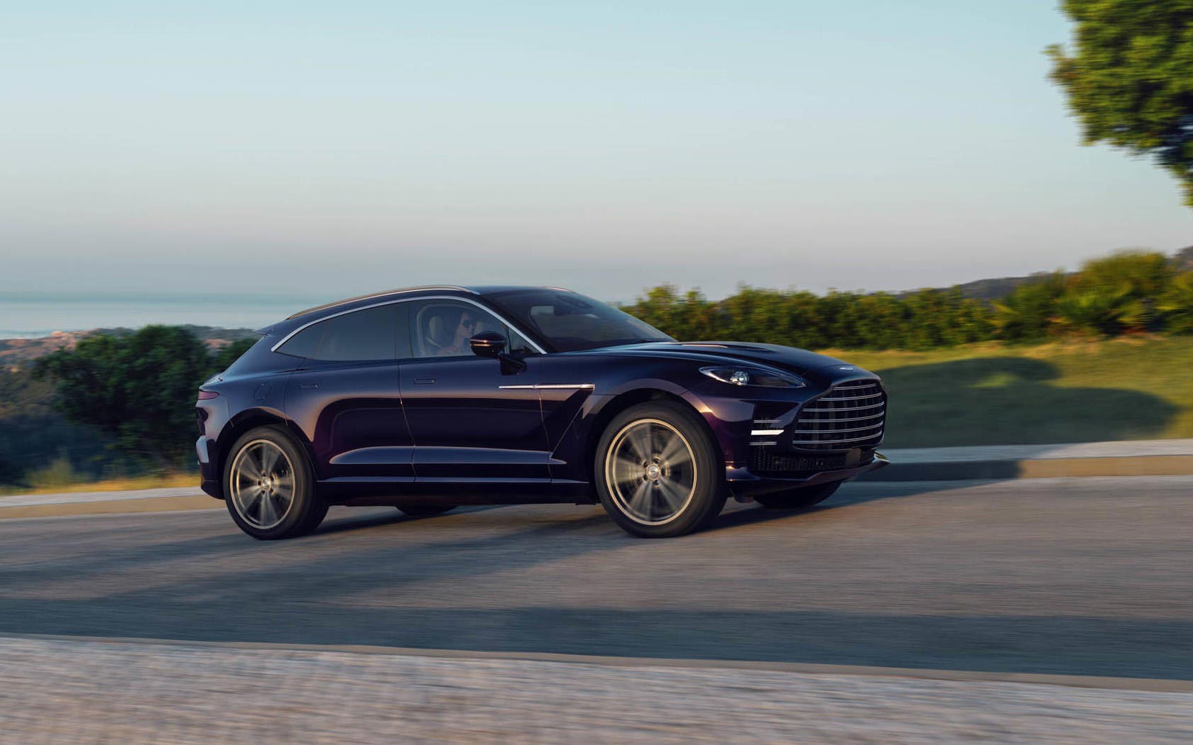 ���� Aston Martin DBX GT 
