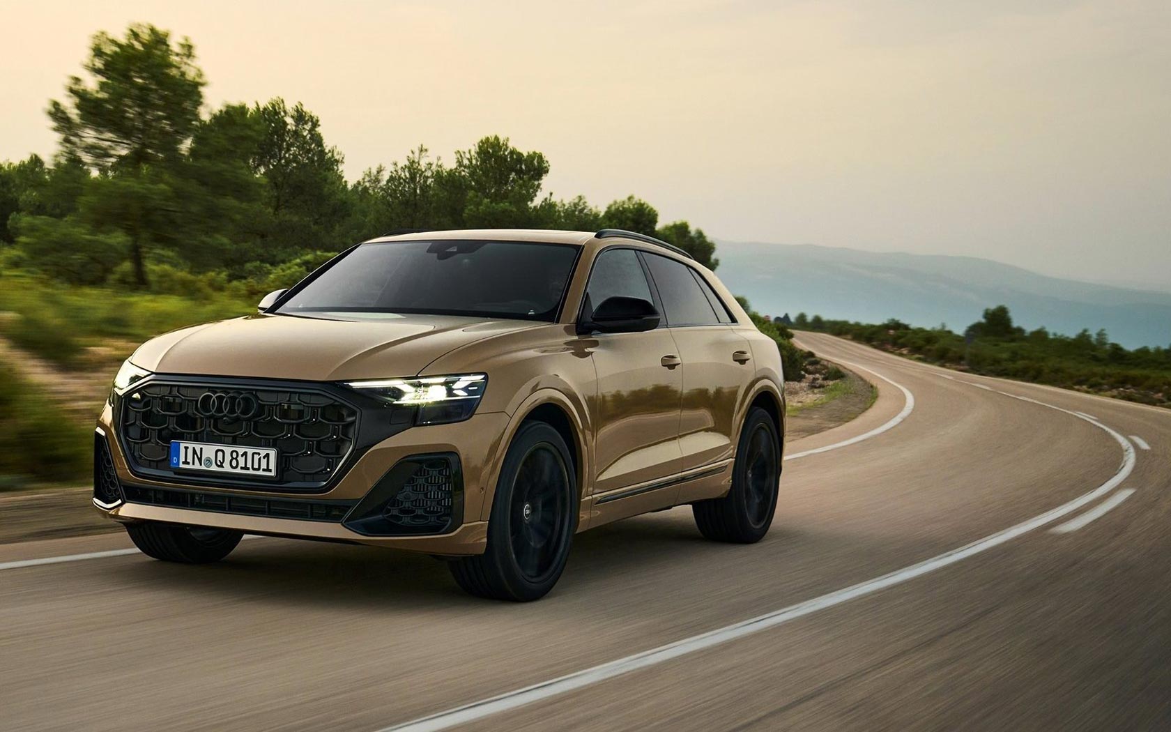  Audi Q8 