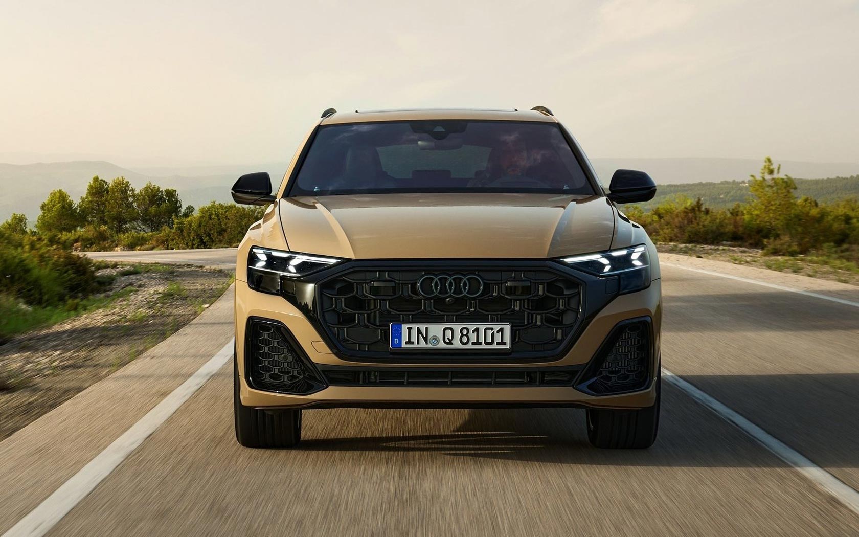  Audi Q8 