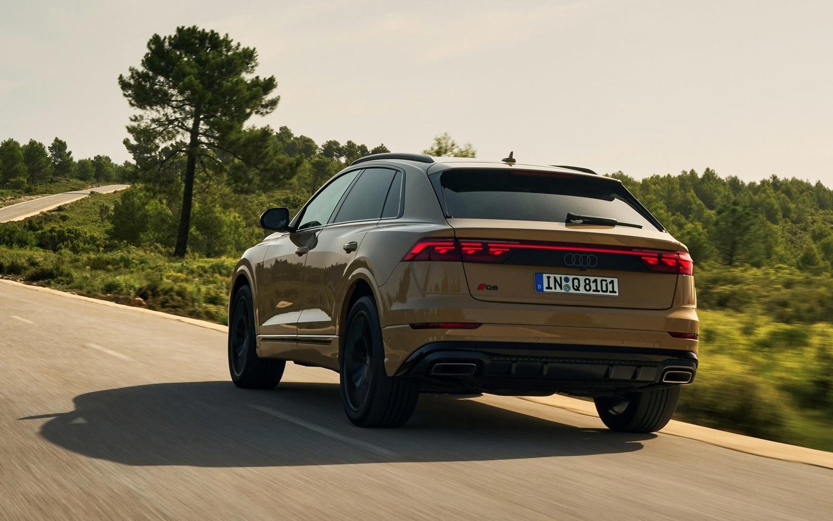  Audi Q8 