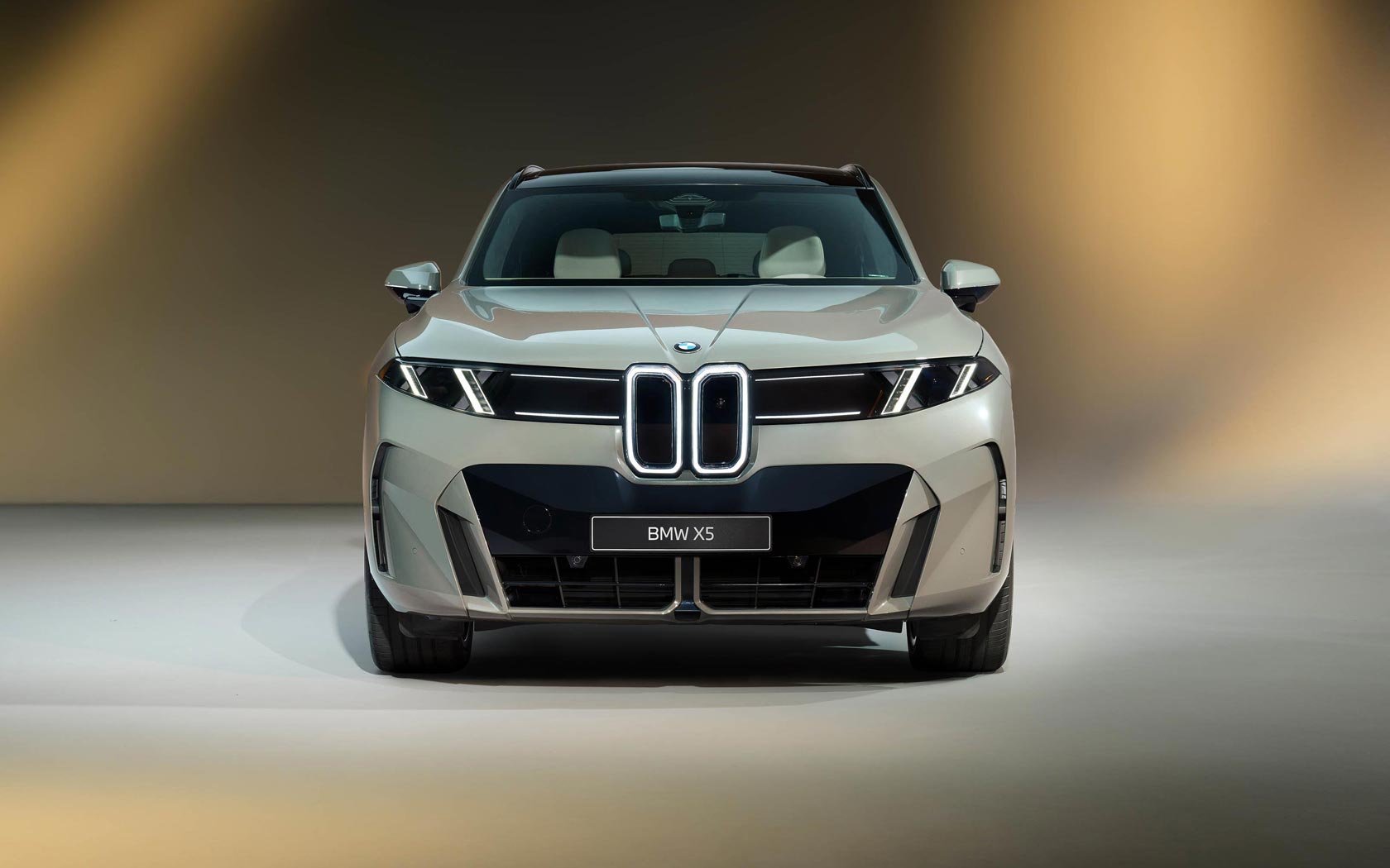 ���� BMW iX5 