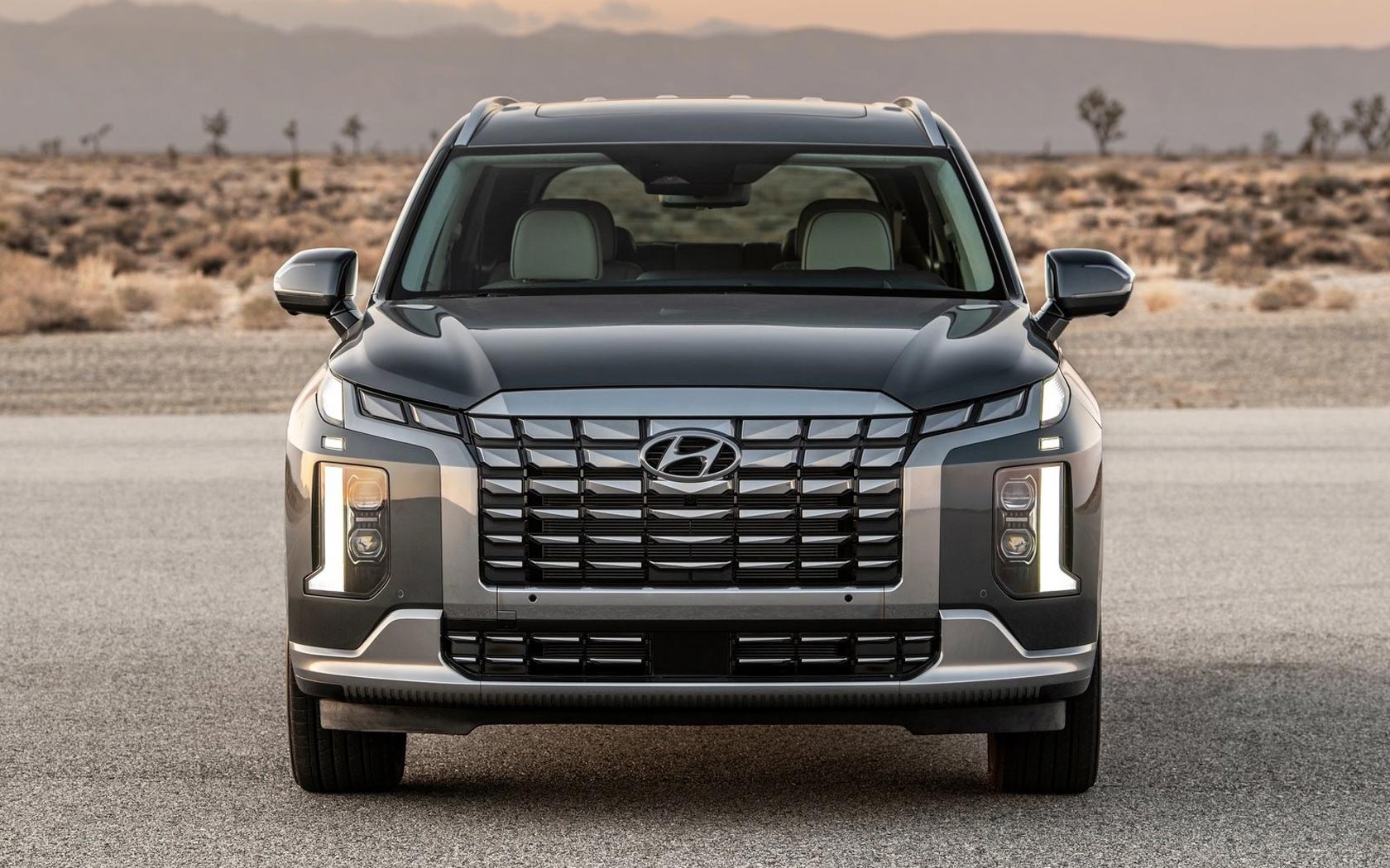  Hyundai Palisade 