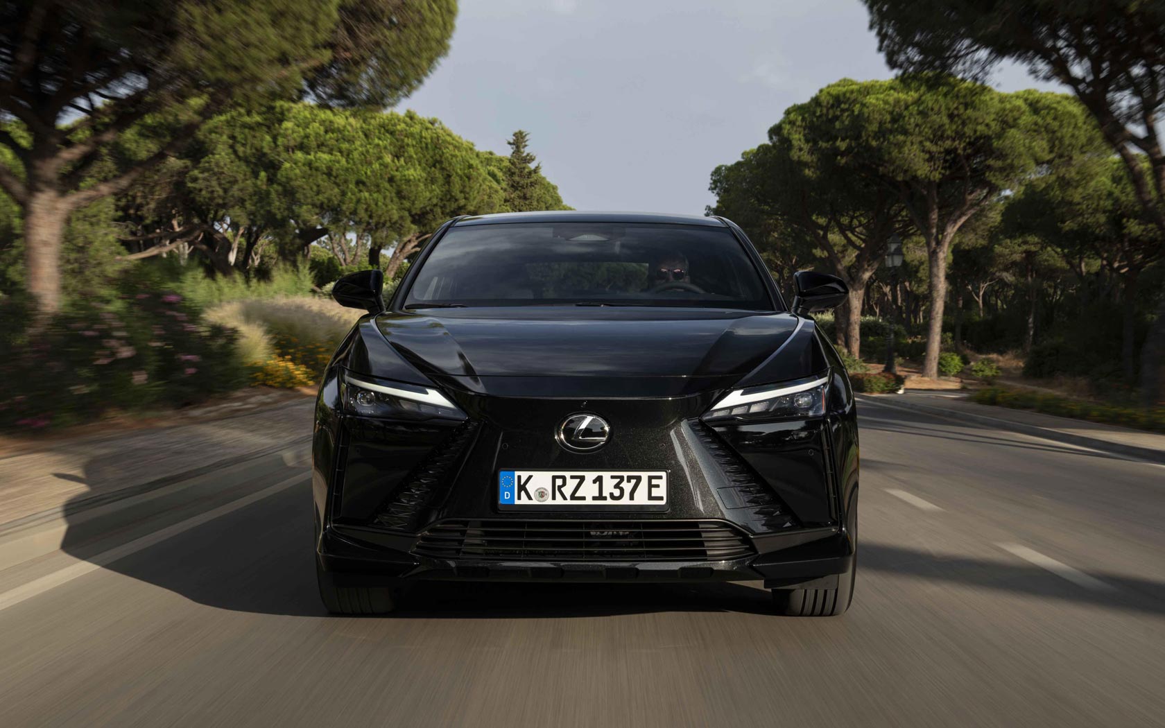  Lexus RZ 