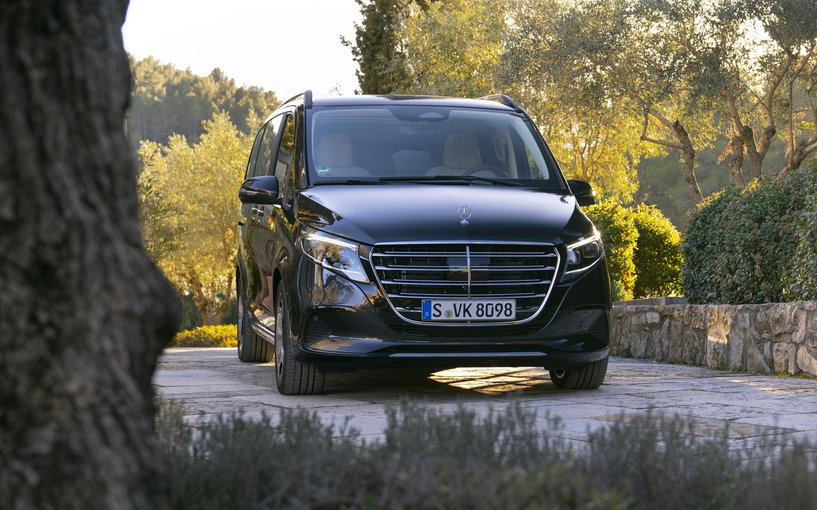 ���� Mercedes V-Class 