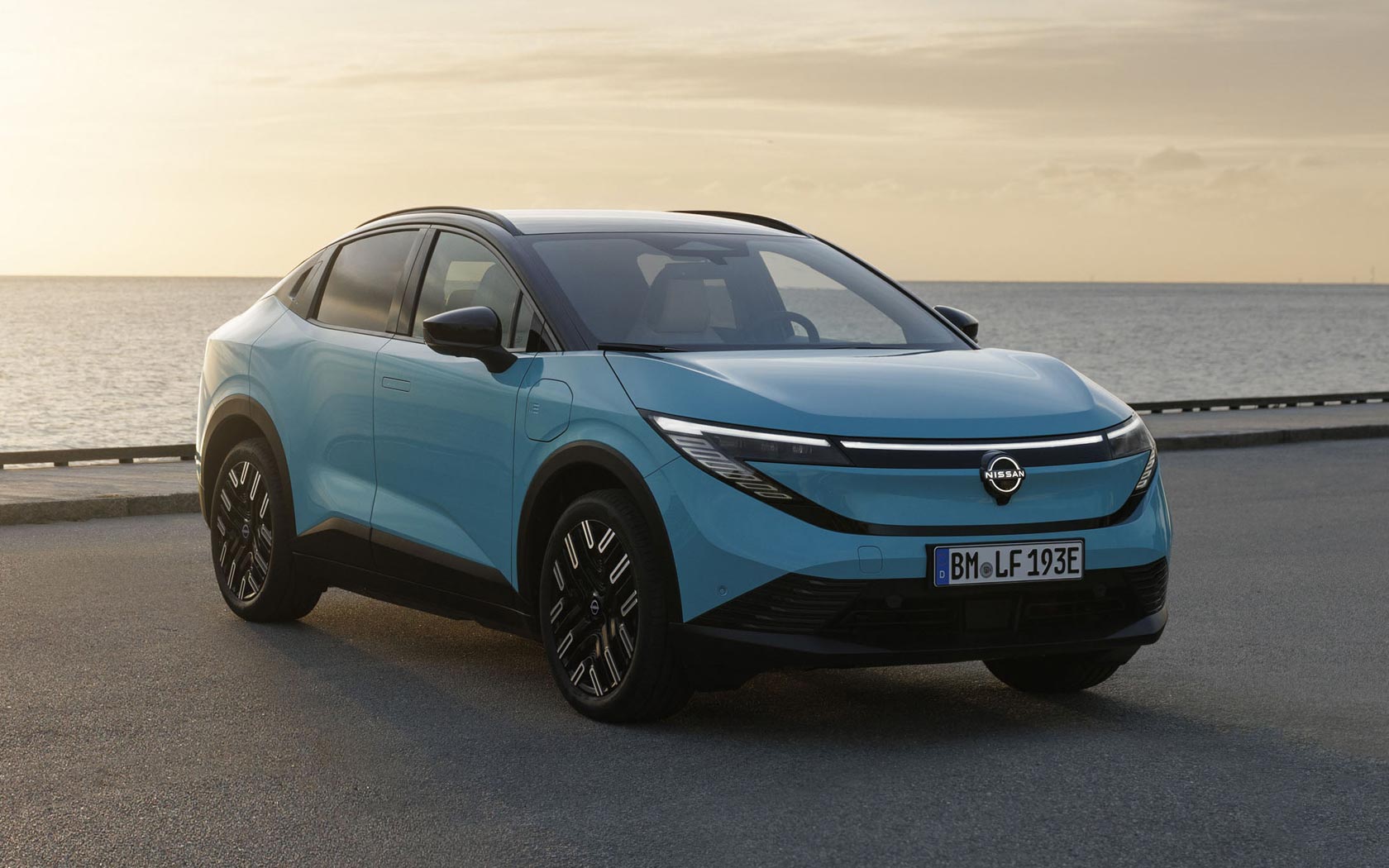 ���� Nissan Leaf 