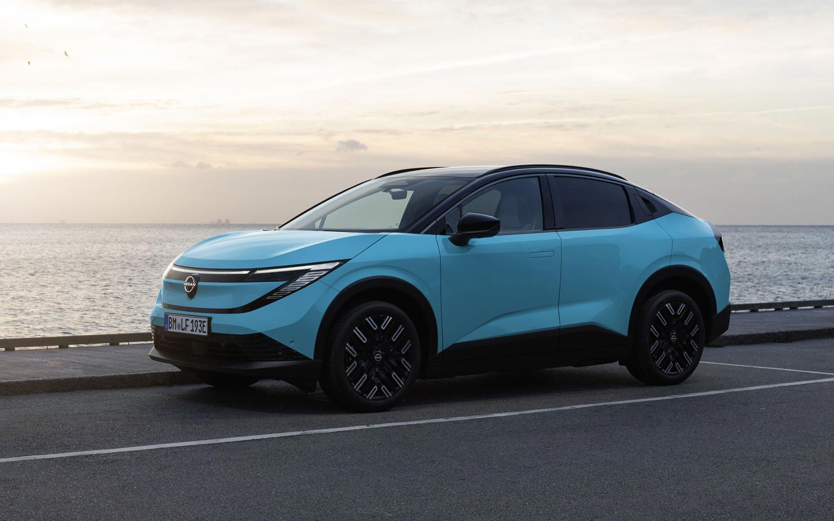 ���� Nissan Leaf 