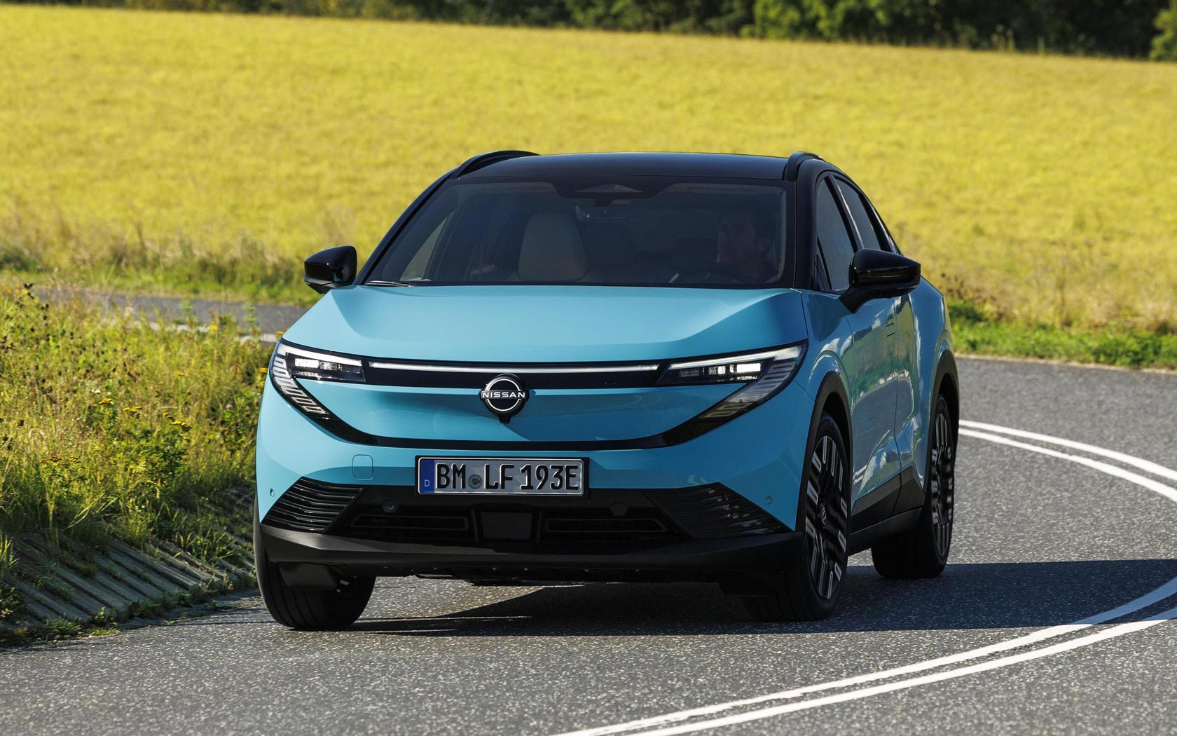 ���� Nissan Leaf 