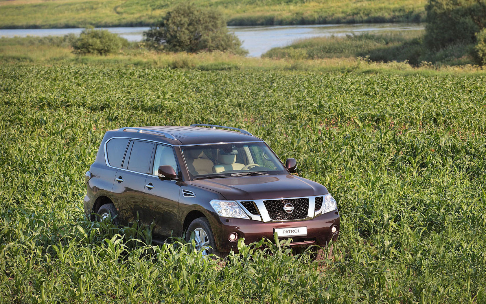  Nissan Patrol (2010-2019)