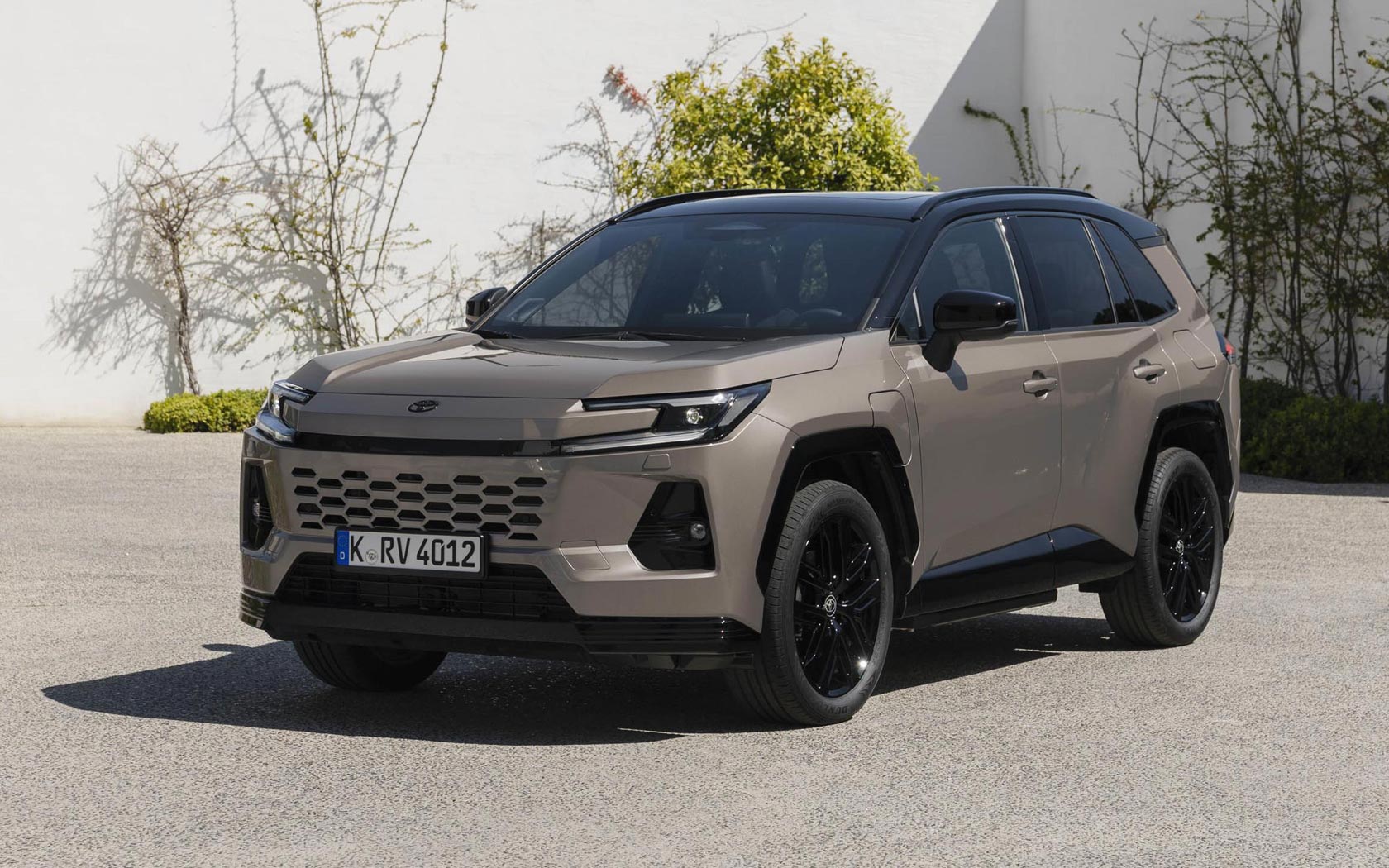 ���� Toyota RAV4 
