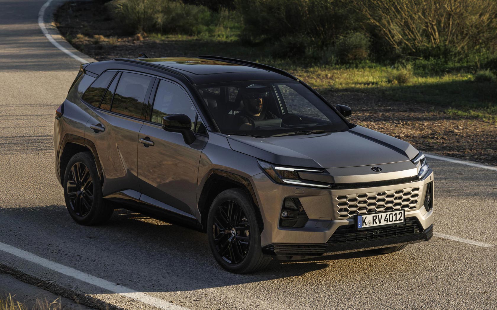 ���� Toyota RAV4 