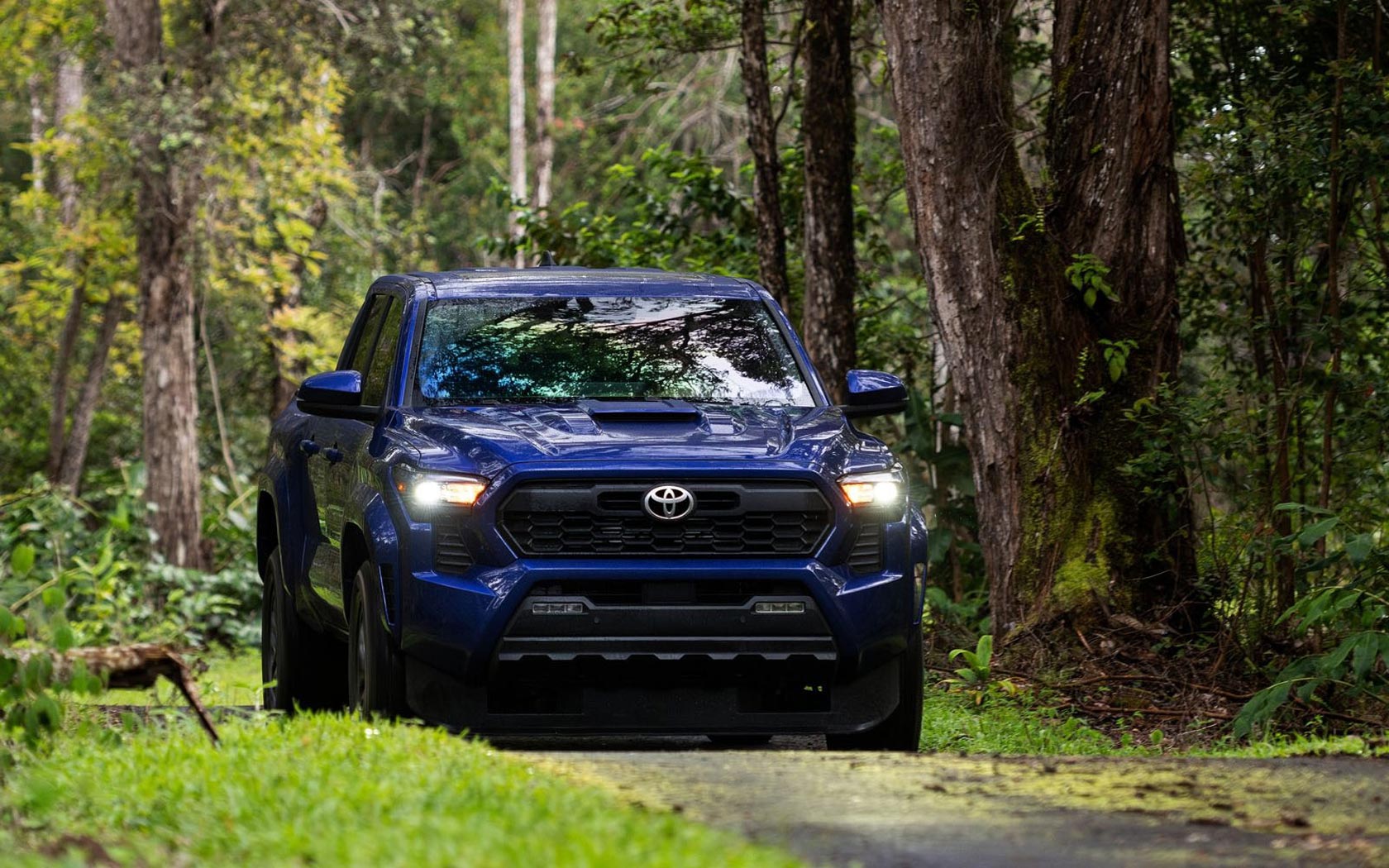  Toyota Tacoma 2023 